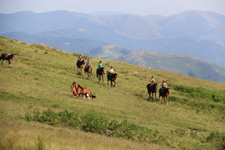 France-Pays Basque-Pyrenees Border Trail